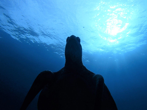 モルダイブ (MalDive)-名护市必去景点
