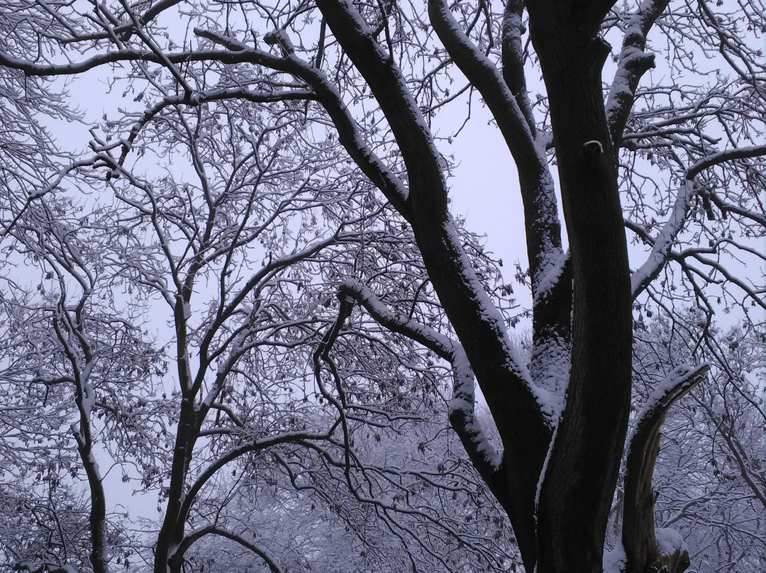 Whitworth Park-曼彻斯特必去景点