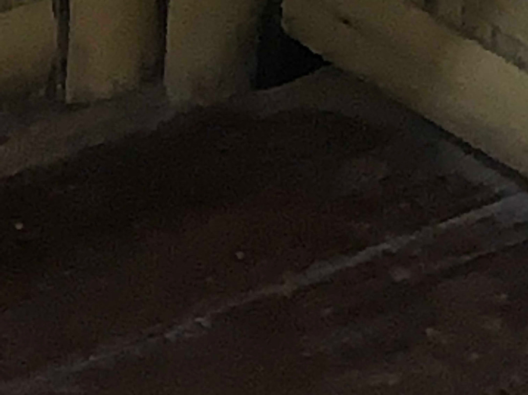 潜水洞穴度假村主图