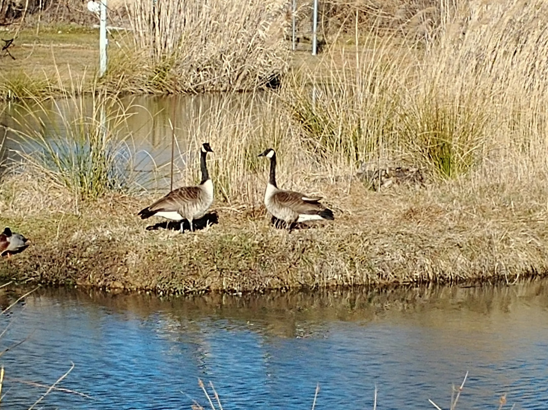 Domaine De La Begude主图