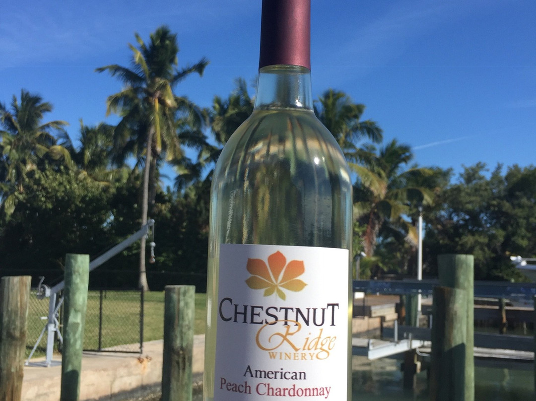 Chestnut Ridge Winery-Spencer必去景点