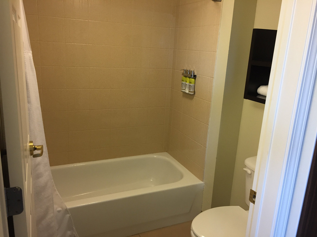 Staybridge Suites Fayetteville/Univ of Arkansas by IHG主图