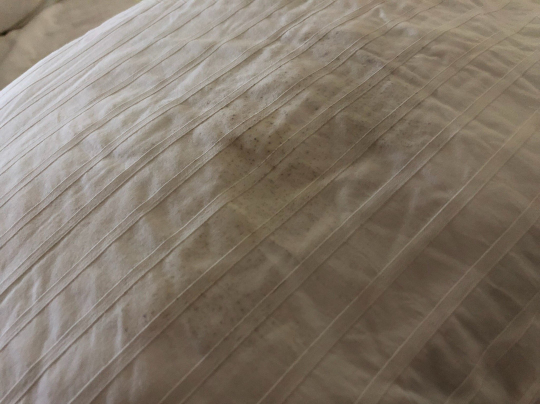 Hotel Marina de Vichuquen主图