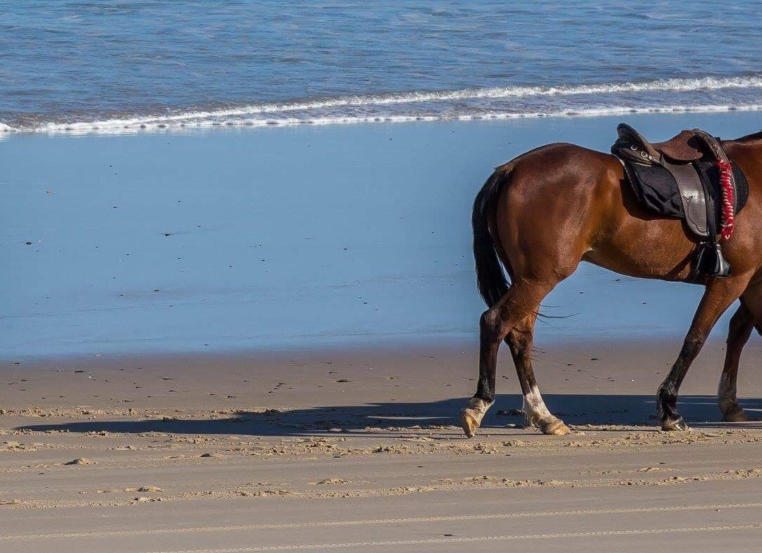 Tassiriki Ranch Beach Horse Riding & Holiday Cabins景点图片