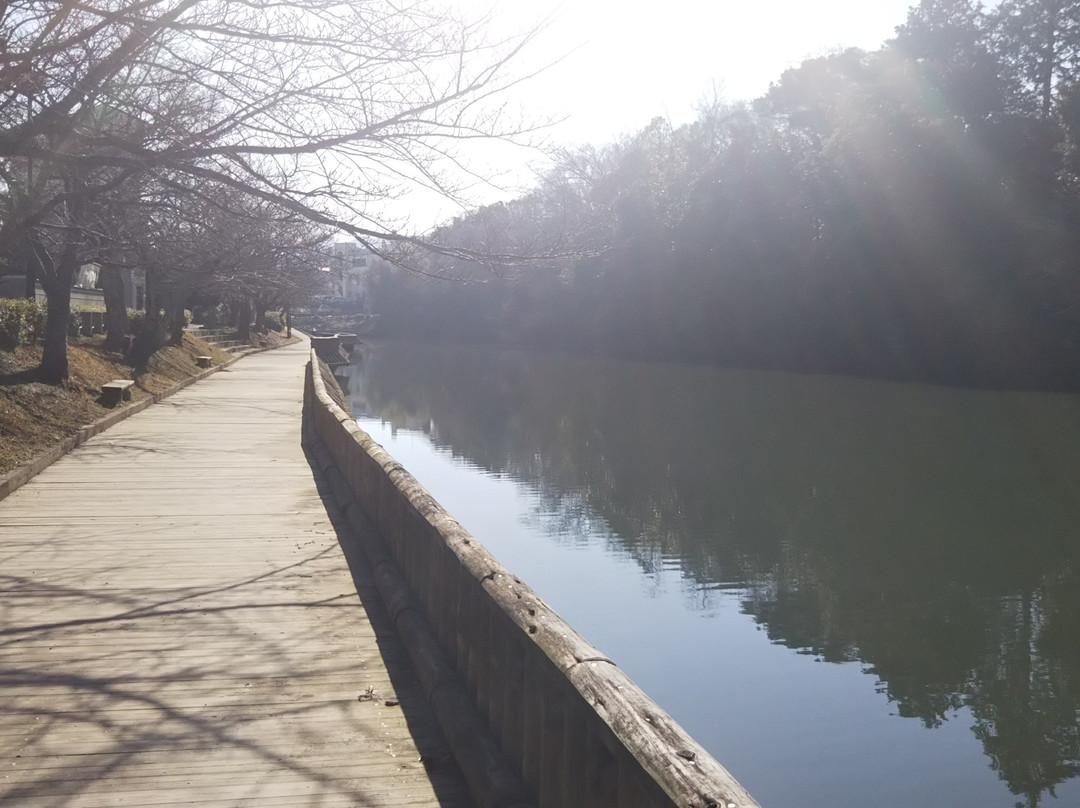 Nango Park-龟冈市必去景点