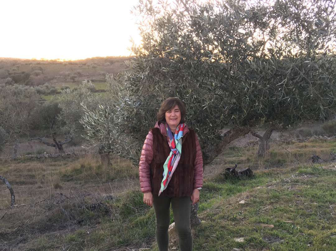 Posada de los aceiteros主图