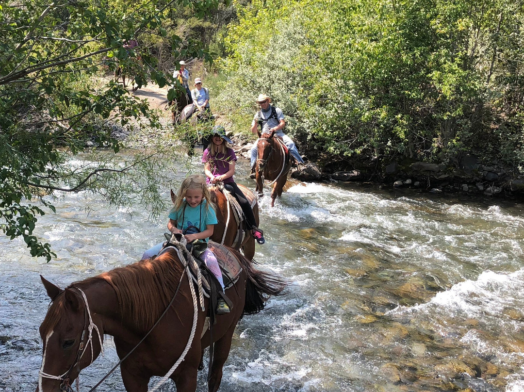 Bill Cody Ranch -Horseback Riding景点图片