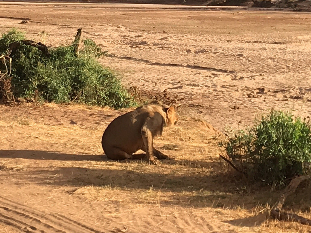 Kalama Community Conservancy-Samburu District必去景点