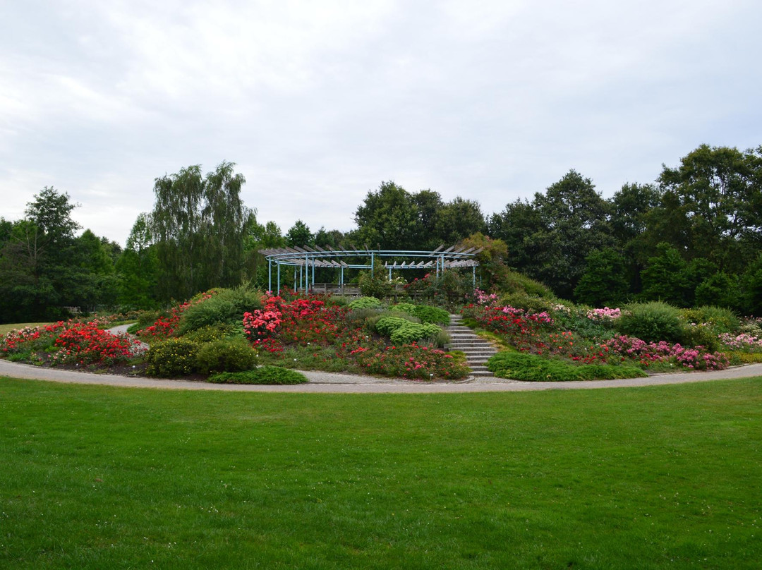 Rhododendron-Park Bremen-不莱梅必去景点