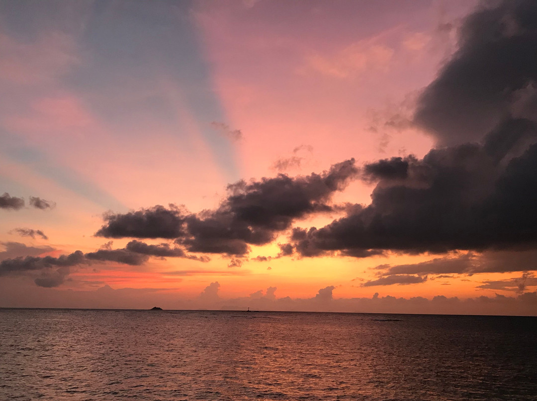 Pirates Bar-帕岸岛必去景点