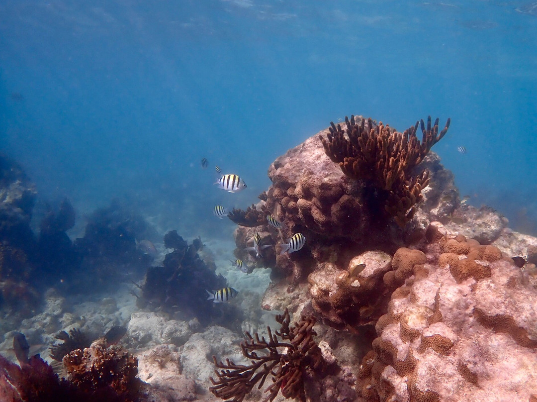 Garden Key-海龟国家公园必去景点