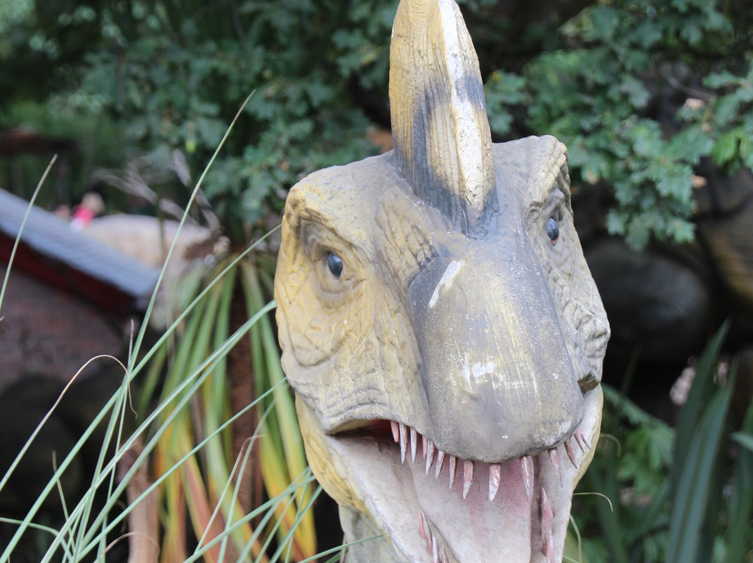 West Midlands Safari Park-Bewdley必去景点