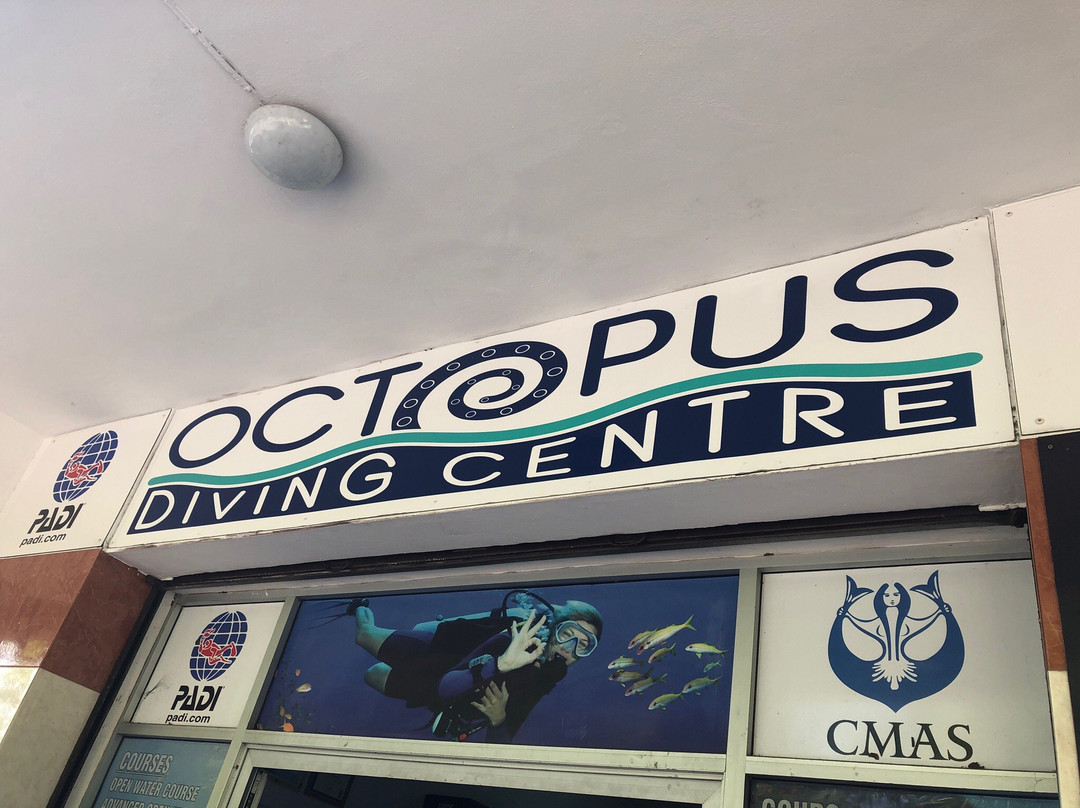 Octopus Diving Centre景点图片