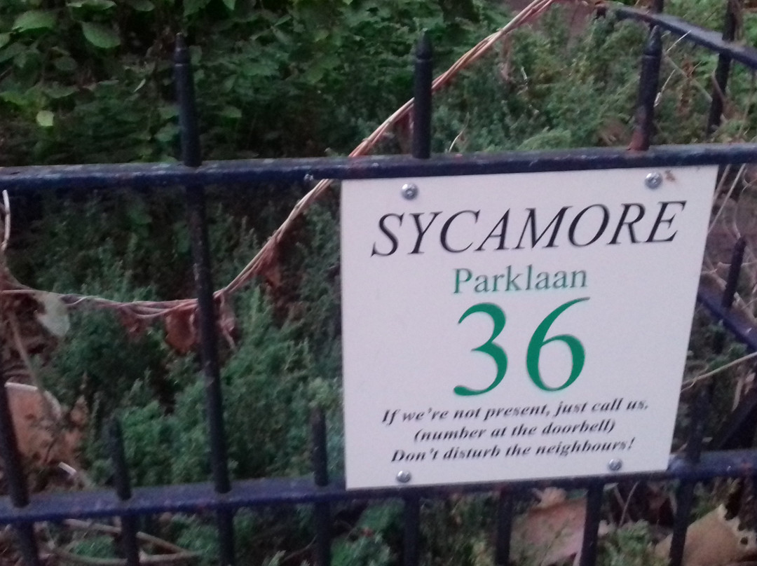 Boutiquehotel Sycamore主图