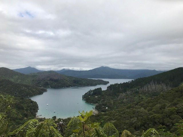 Lochmara Lodge - Marlborough Sounds主图