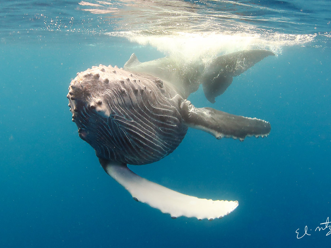 SDM adventures-Riviera必去景点