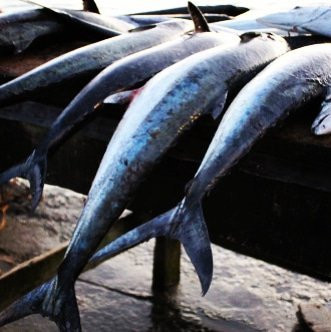 Padee Again Fishing Charters-Buccoo必去景点