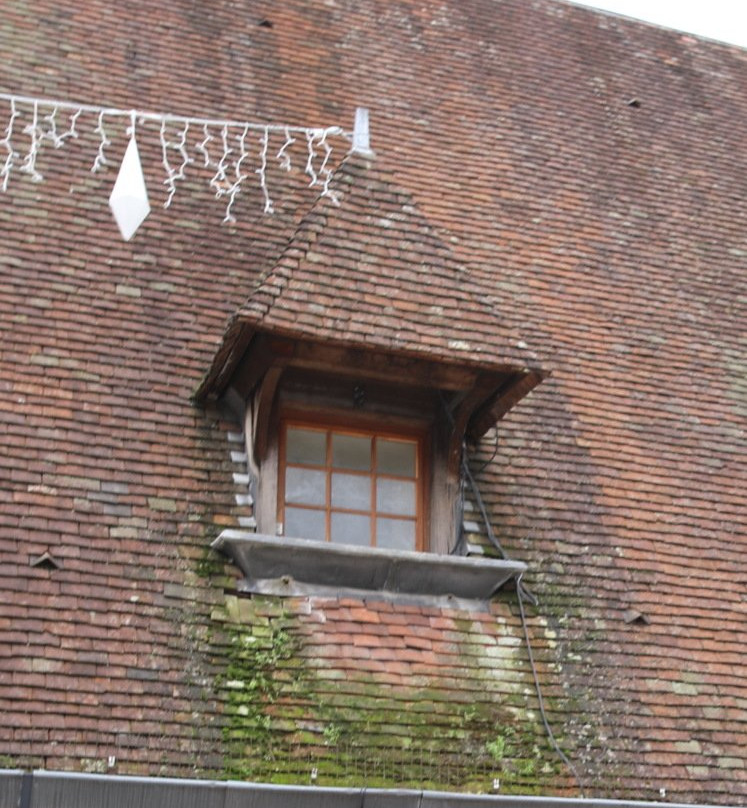 Marché de Beaune景点图片