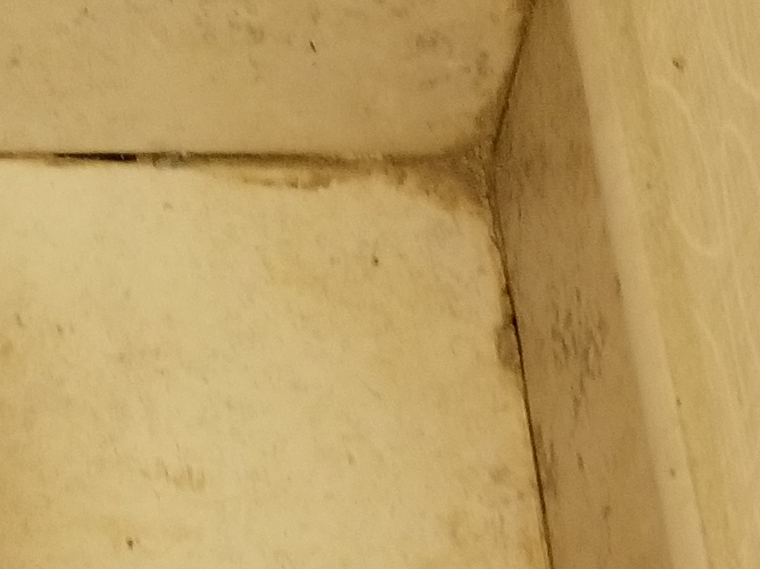 Hampton Inn Ozark主图