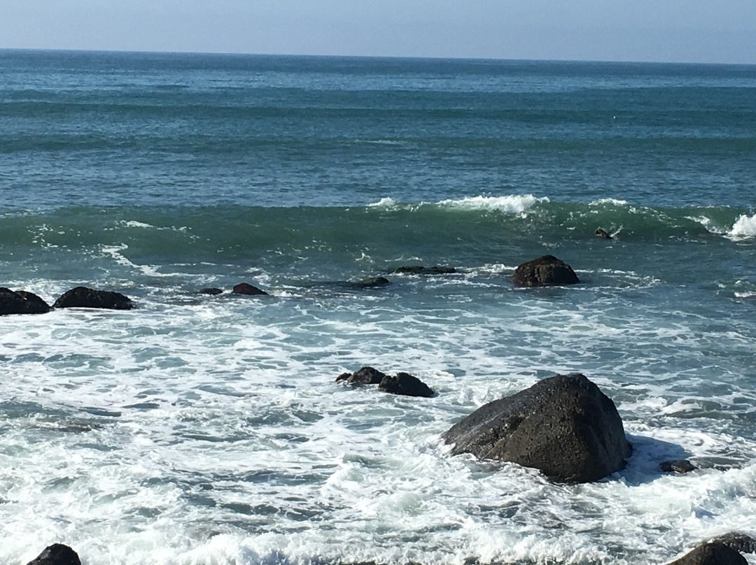 Punta Morro Hotel主图