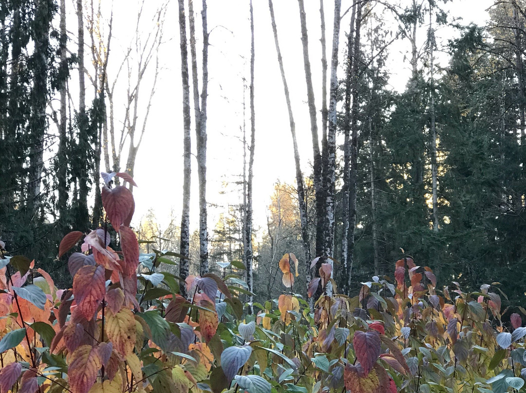 Lake Wilderness Arboretum-Maple Valley必去景点