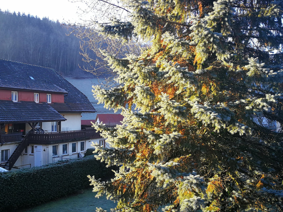 Hotel Hirschen主图