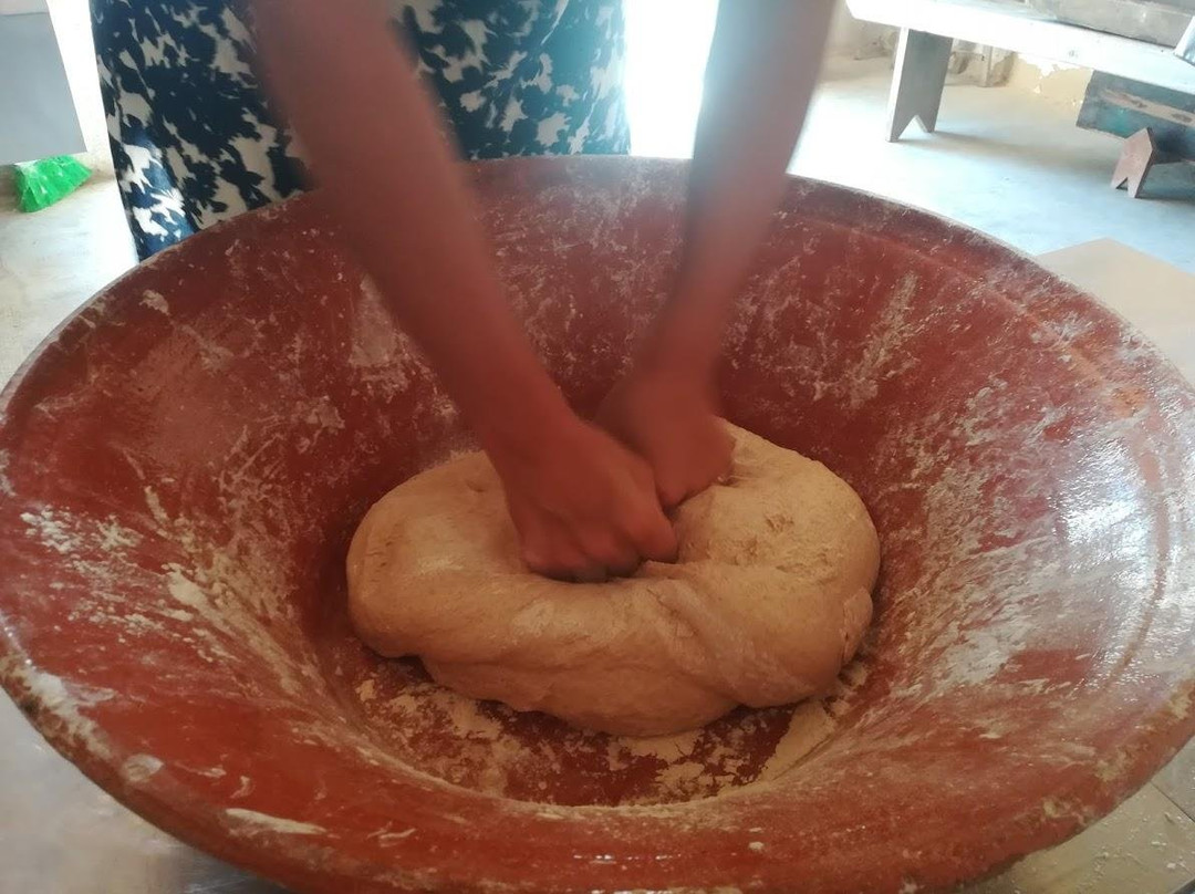 ALGARVE TREASURES - Tours & Experiences-法罗必去景点