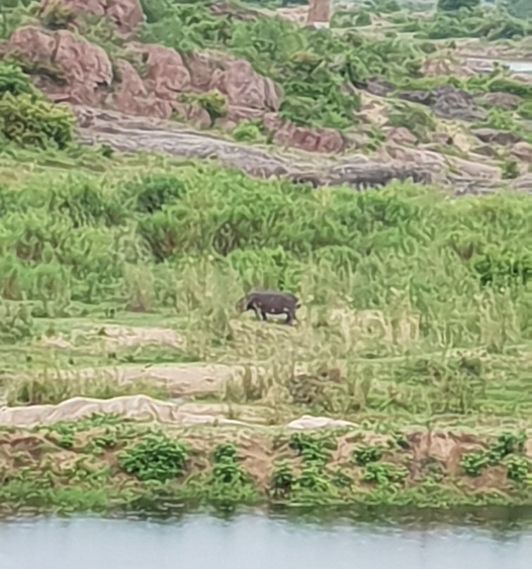 Kambaku Komatipoort Golf Club-库马堤港必去景点