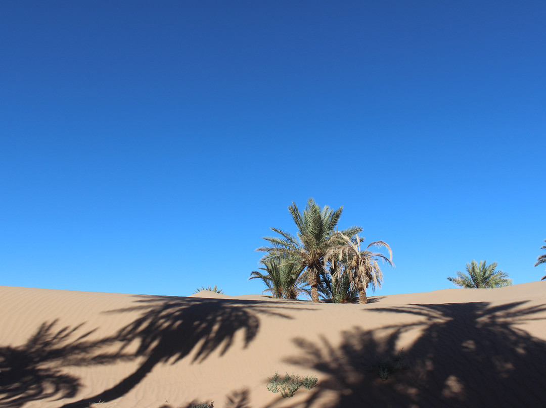 Morocco Desert Charm景点图片