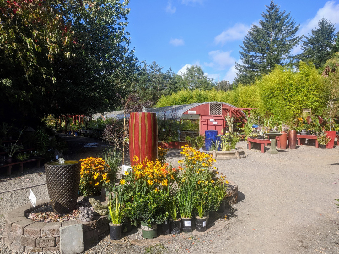 Hughes Water Gardens-图拉丁必去景点