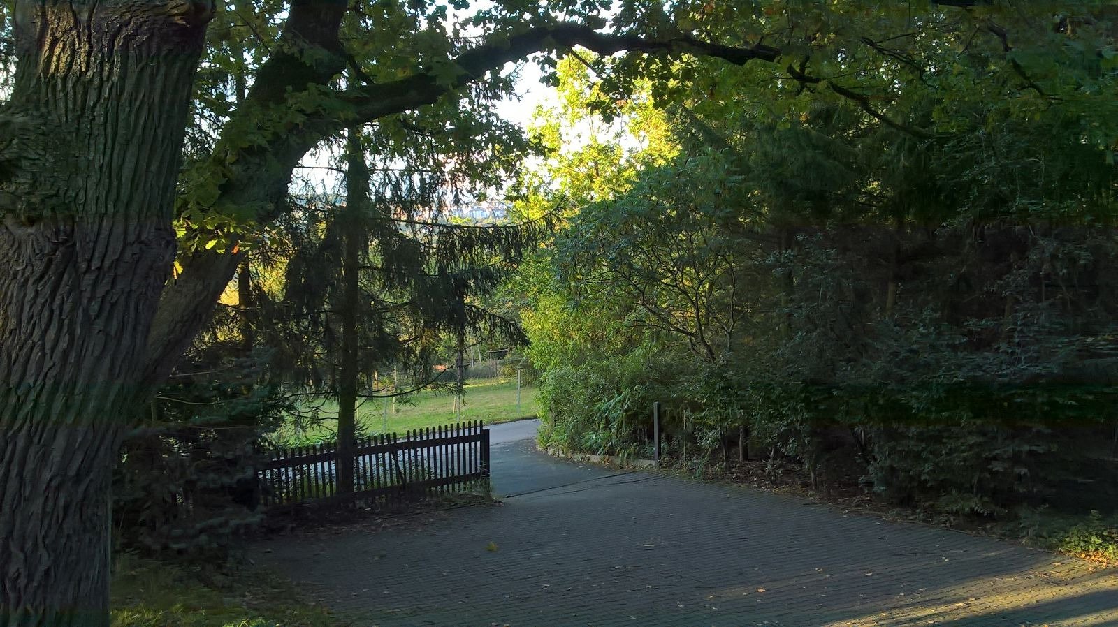 Pension Fischer - Die Pension im Grünen-官方