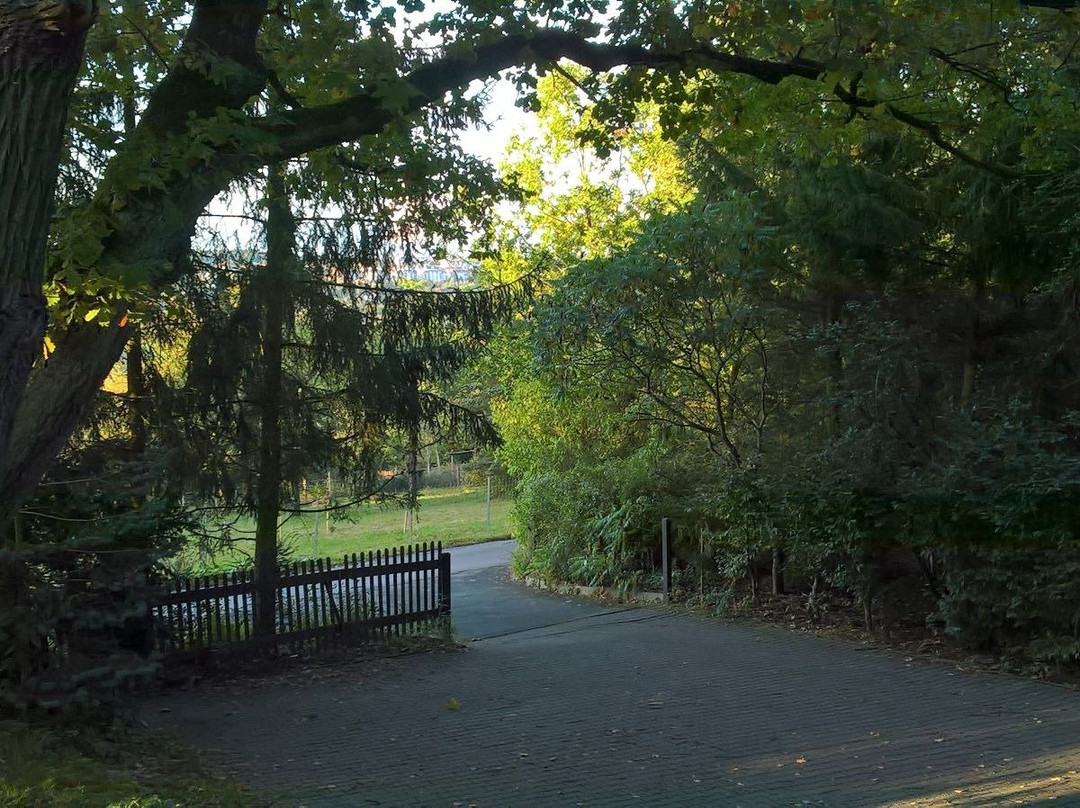 Oelsnitz/Vogtland酒店住宿-Pension Fischer - Die Pension im Grünen