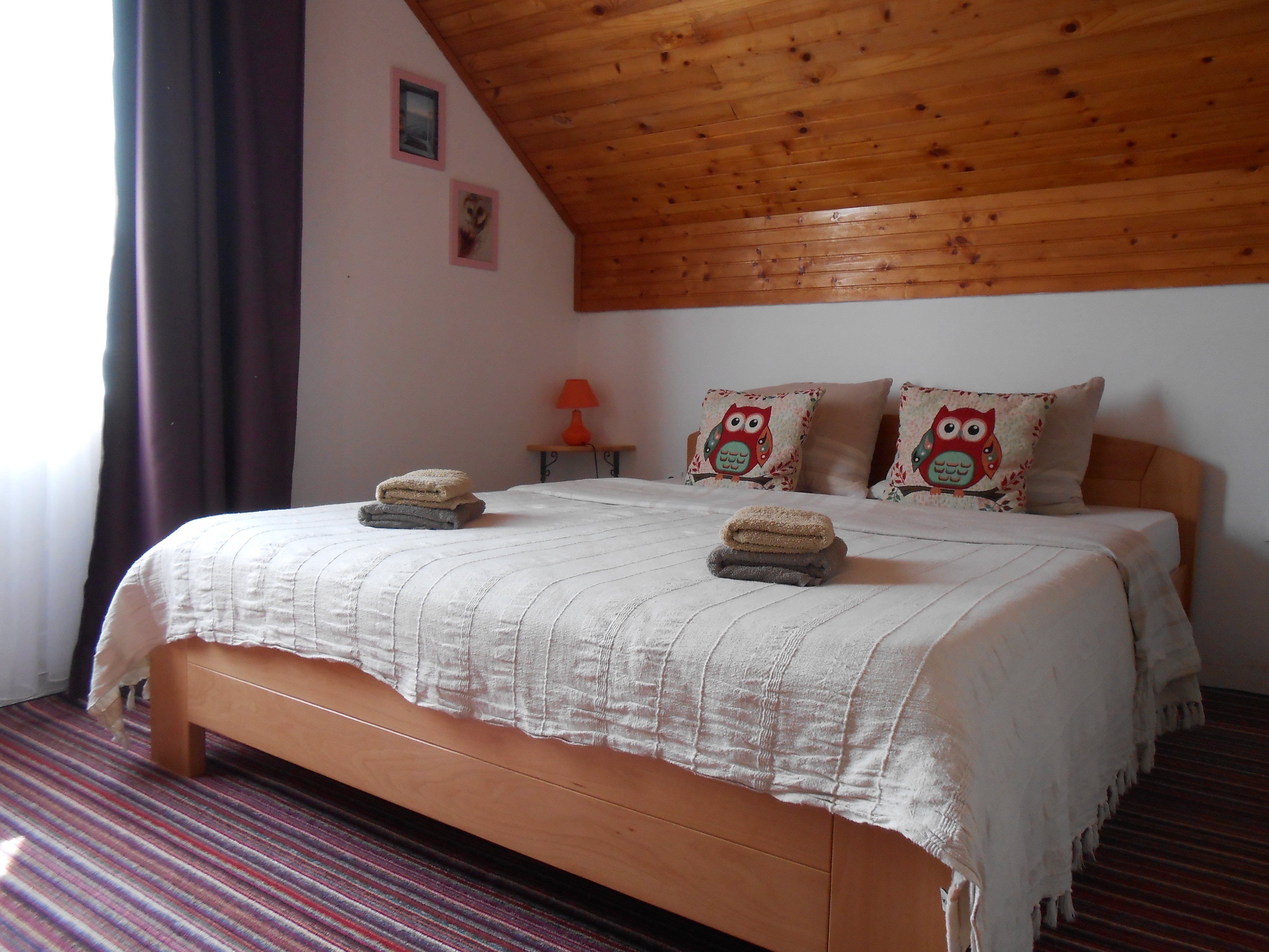 Guest House Attico Viva-官方