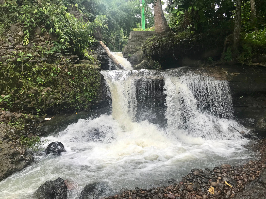 Bali Rice Padi-巴厘岛必去景点