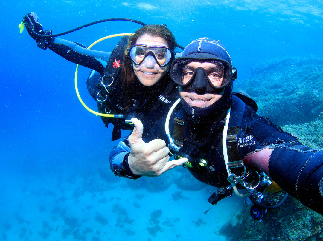 Queiroz Diver-阿拉伊阿尔港必去景点