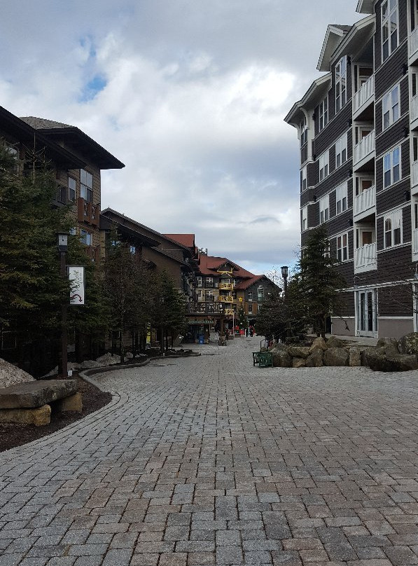 Village at Snowshoe景点图片