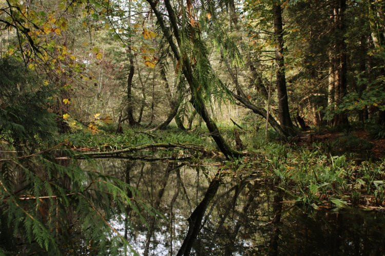 Crippen Regional Park-Bowen Island必去景点