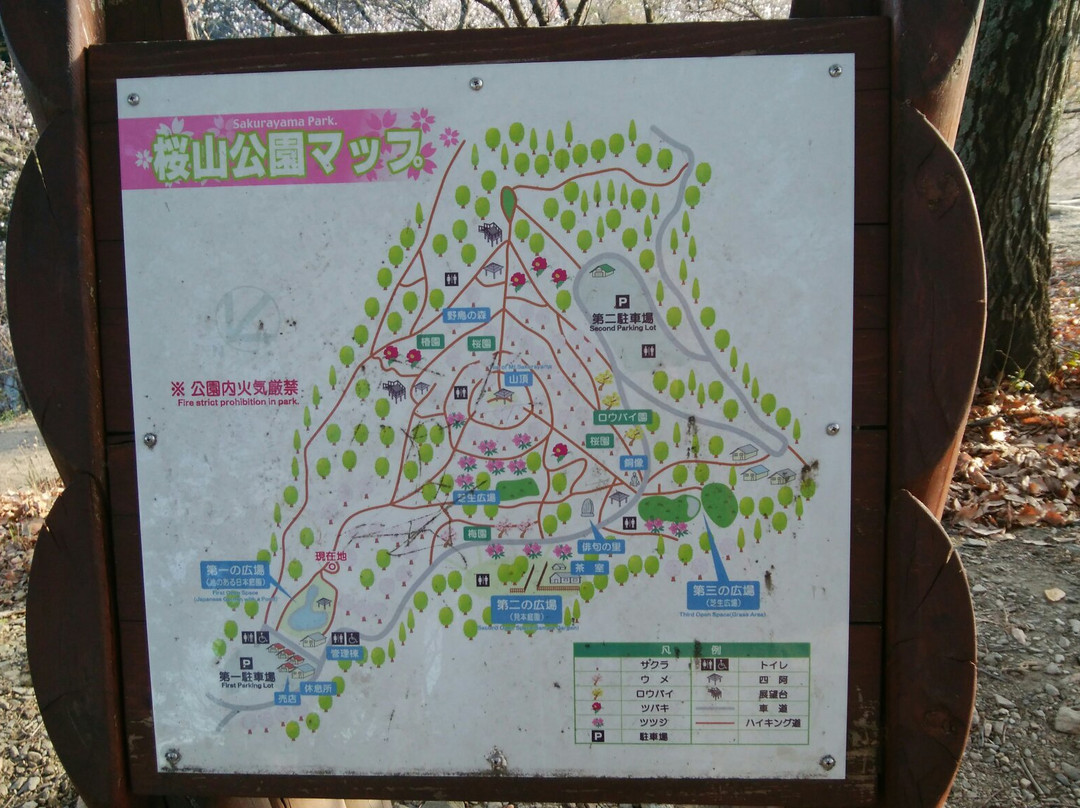 Sakurayama Park景点图片