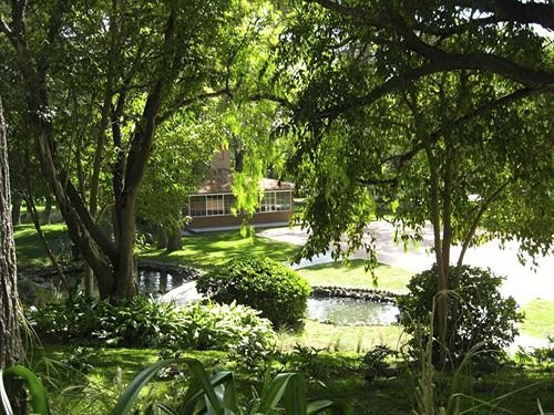 Hotel Real del Bosque主图