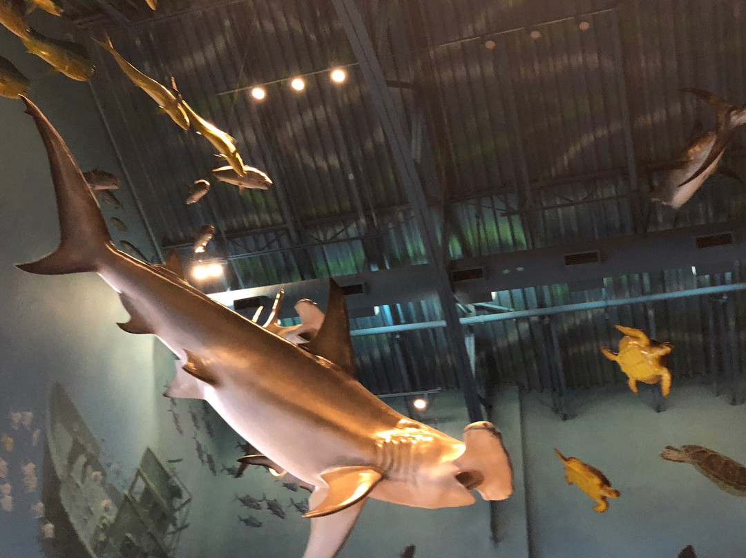 Bass Pro Shops-圣何塞必去景点