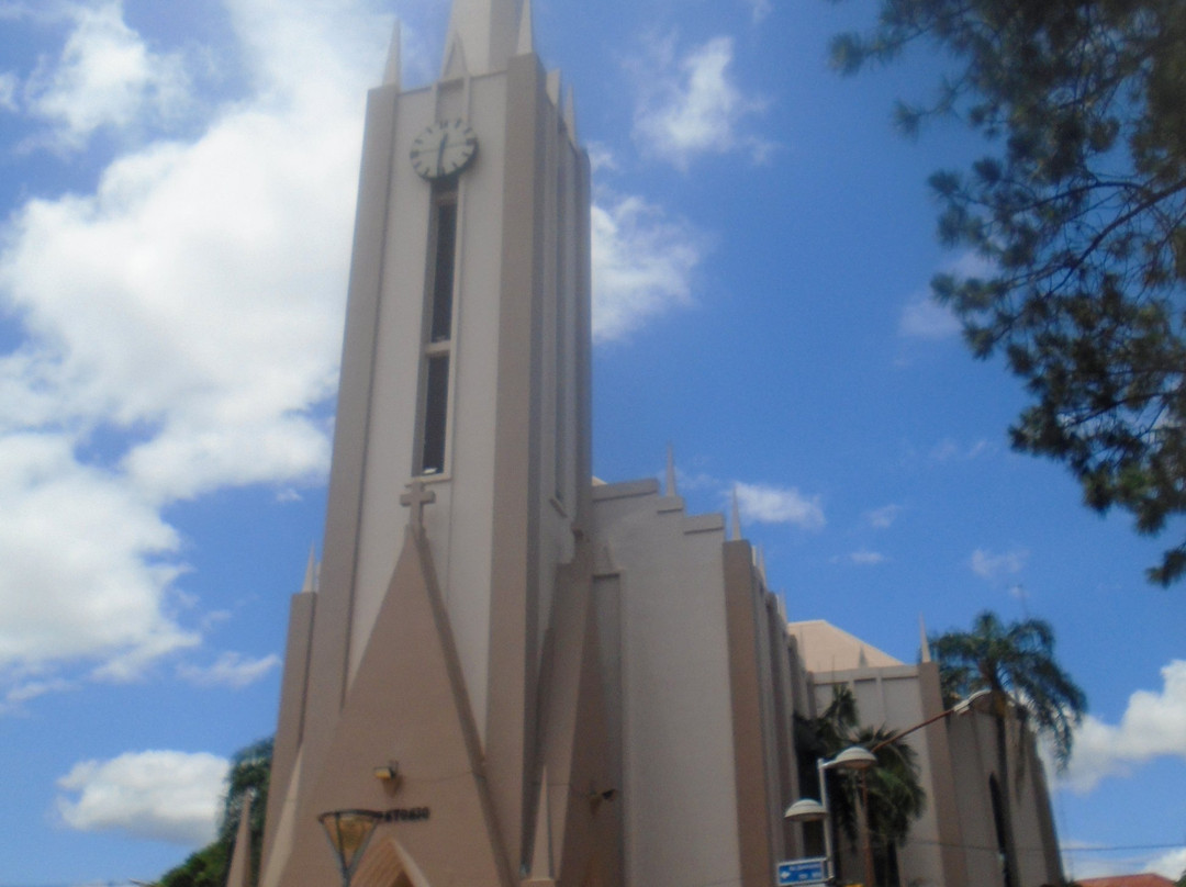 Catedral San Antonio景点图片