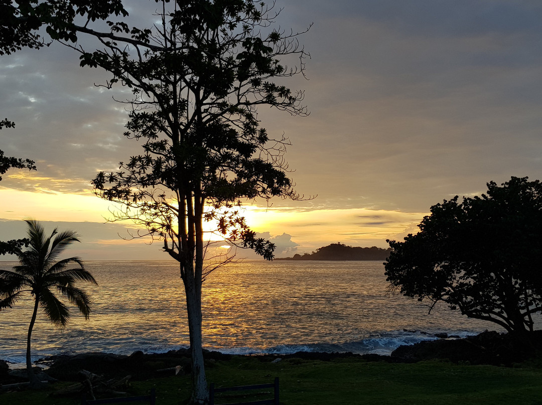 Cabana Pura Vida主图