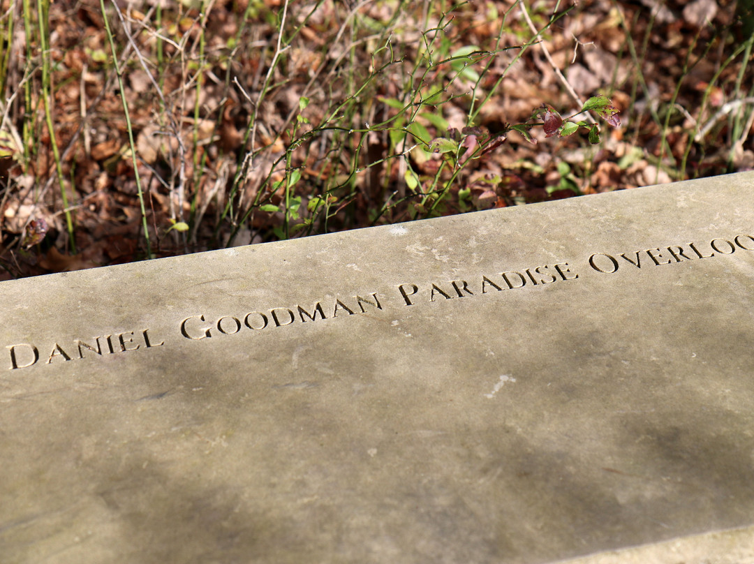 Bear Run Nature Reserve-Mill Run必去景点