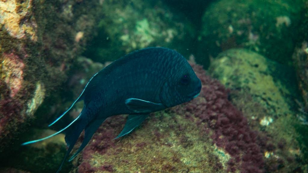 Choiba Ecolodge主图