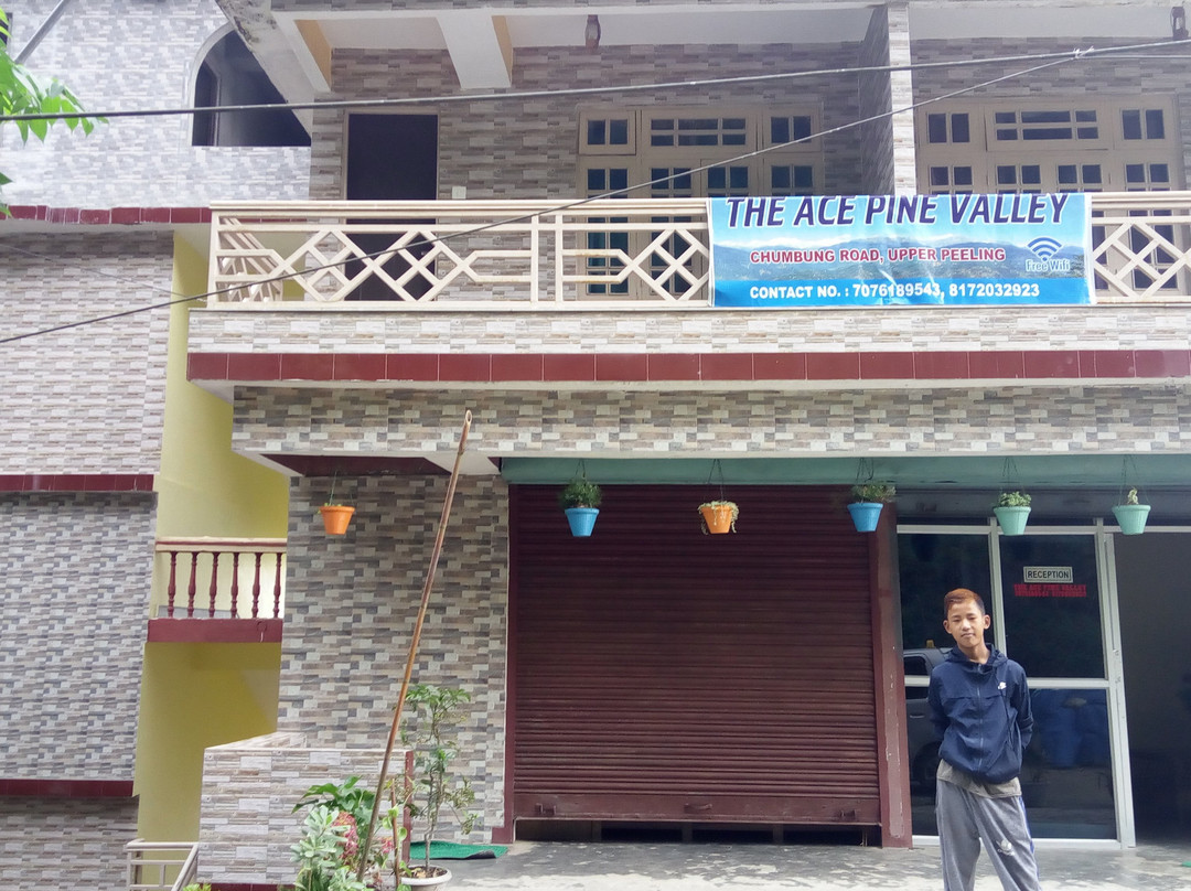 The Ace Pine Valley主图