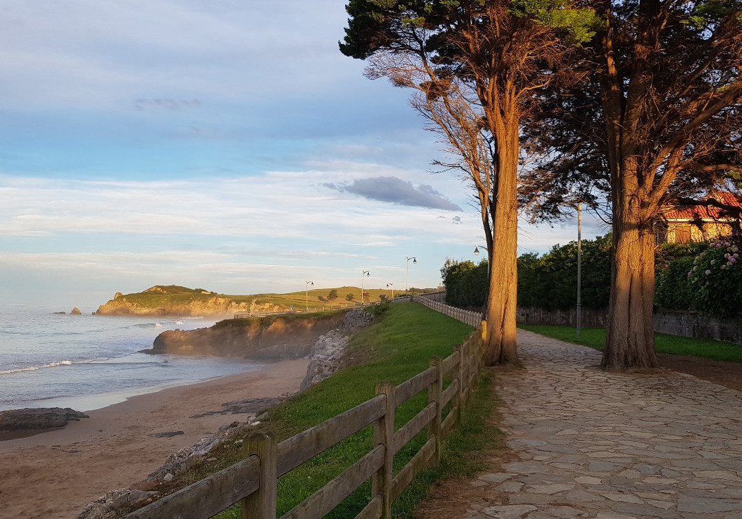 Playa de La Espasa景点图片