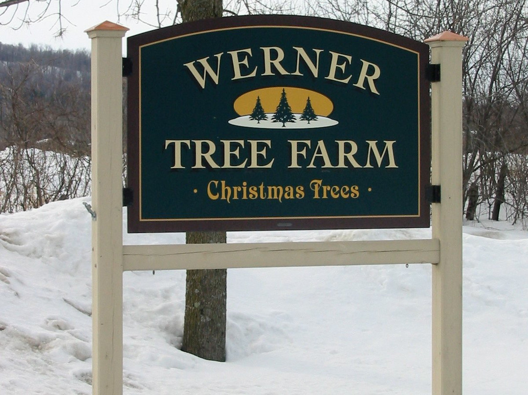 Werner Tree Farm-Middlebury必去景点