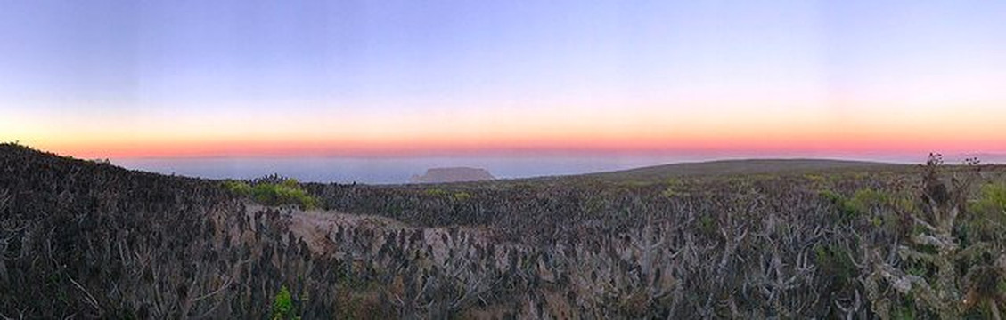 San Miguel Island-峡岛国家公园必去景点