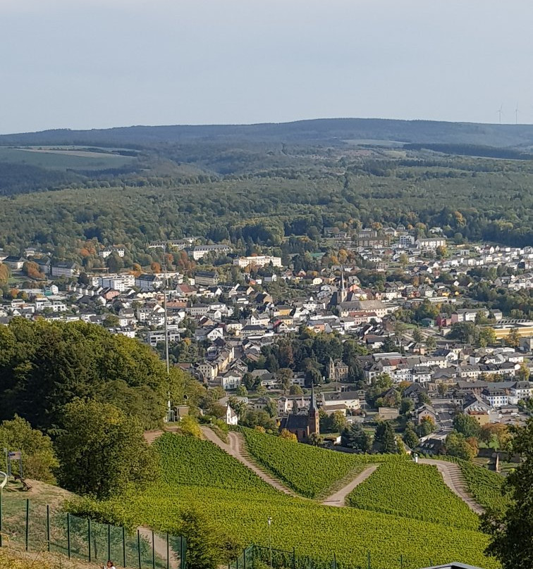 Sommerrodelbahn Saarburg-萨尔堡必去景点