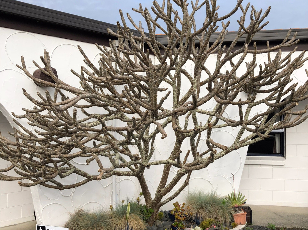 罗雷多汽车旅馆主图